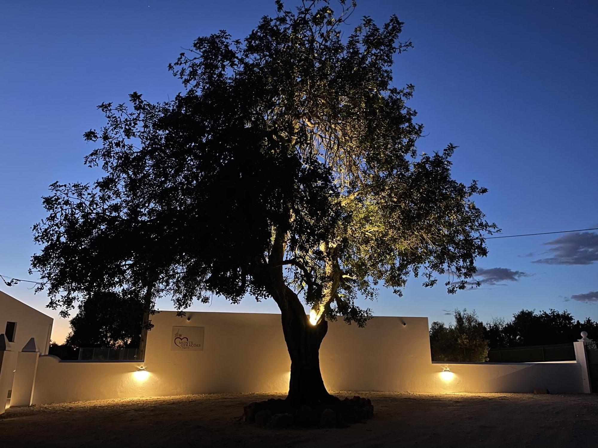 Monte Geracoes - Heated Pool - Typical Algarvian - Close To Quinta Lago, Vale Lobo And Vilamoura Almancil Eksteriør billede